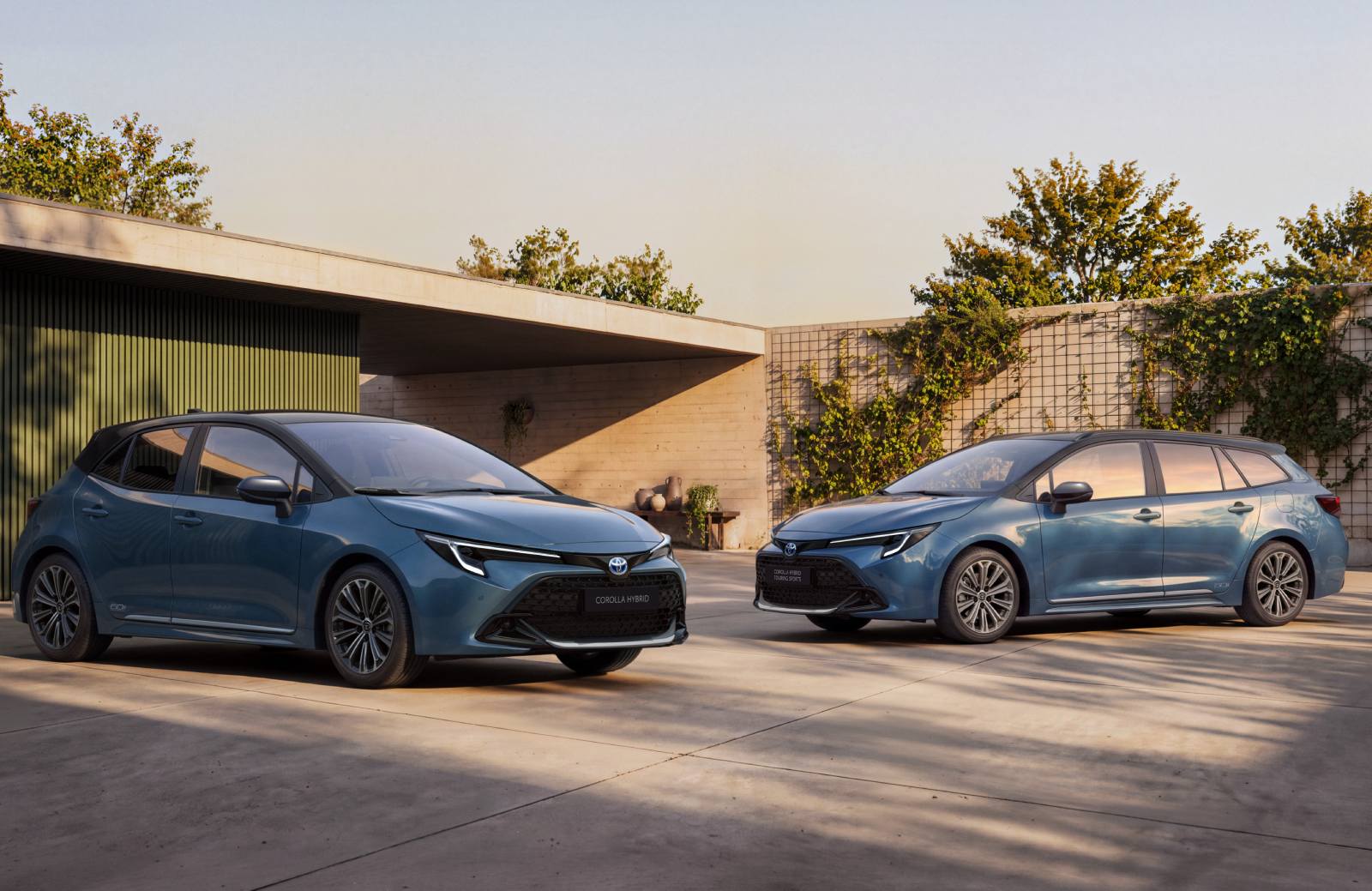Toyota Corolla 60th anniversary